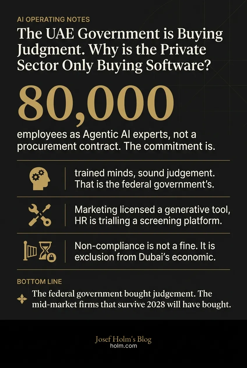 Infographic summary of: The UAE Government is Buying Judgment. Why is the Private Sector Only Buying Software?