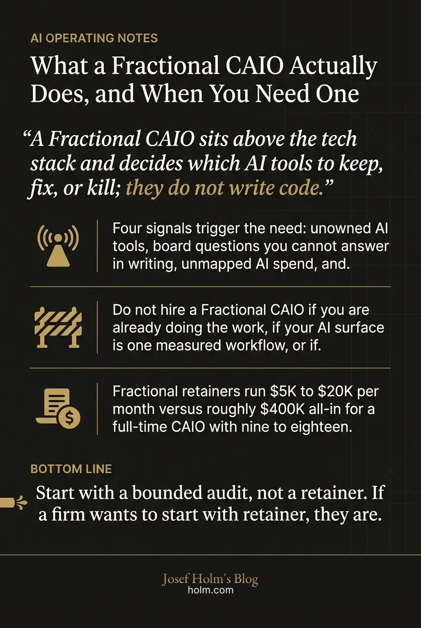 Infographic summary of: What a AI leadership Actually Does, and When You Need One